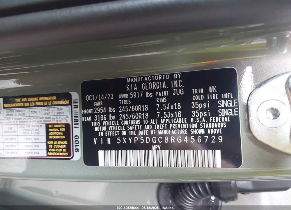 2024 KIA TELLURIDE VIN: 5XYP5DGC8RG456729