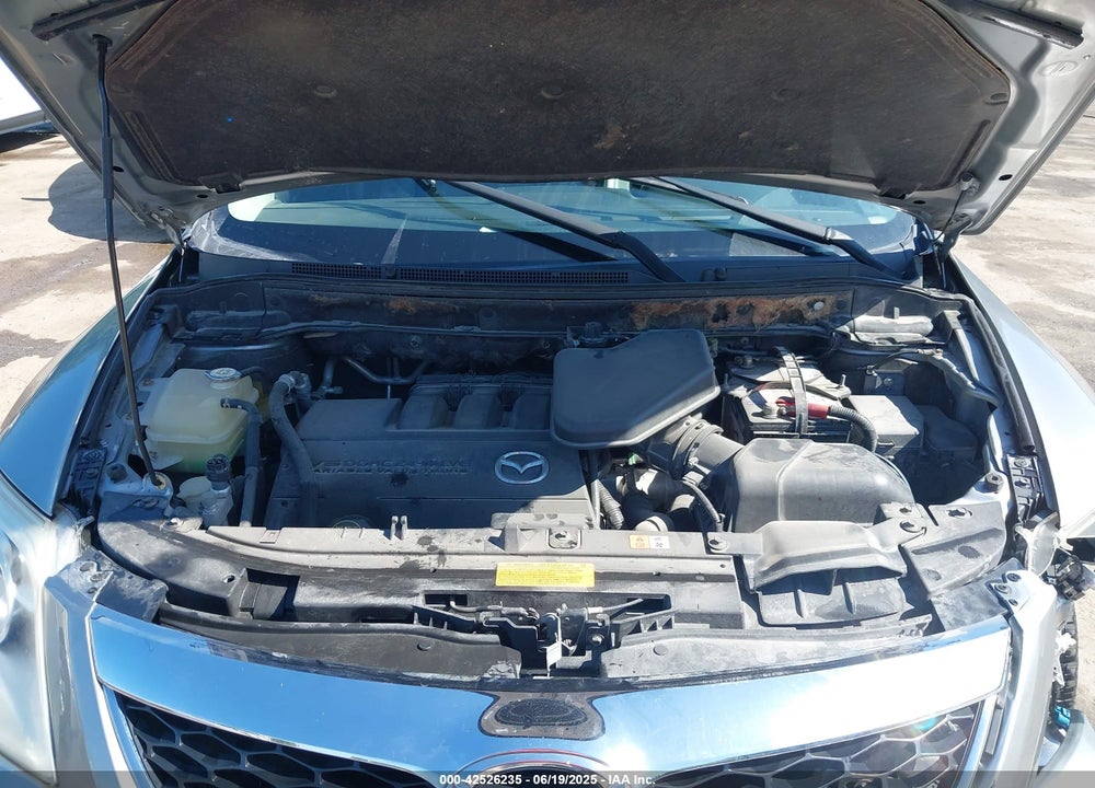 2010 MAZDA CX-9 VIN: JM3TB3MA7A0231370