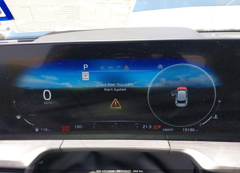 2024 KIA TELLURIDE VIN: 5XYP5DGC9RG547721