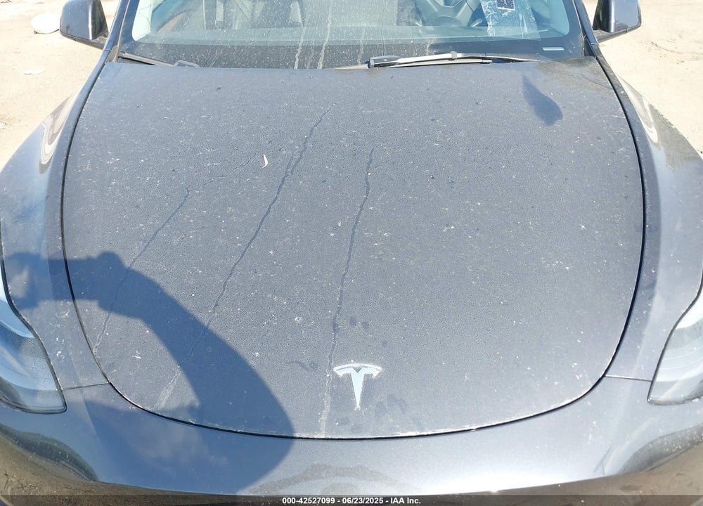 2024 TESLA MODEL Y VIN: 7SAYGDEEXRF061352