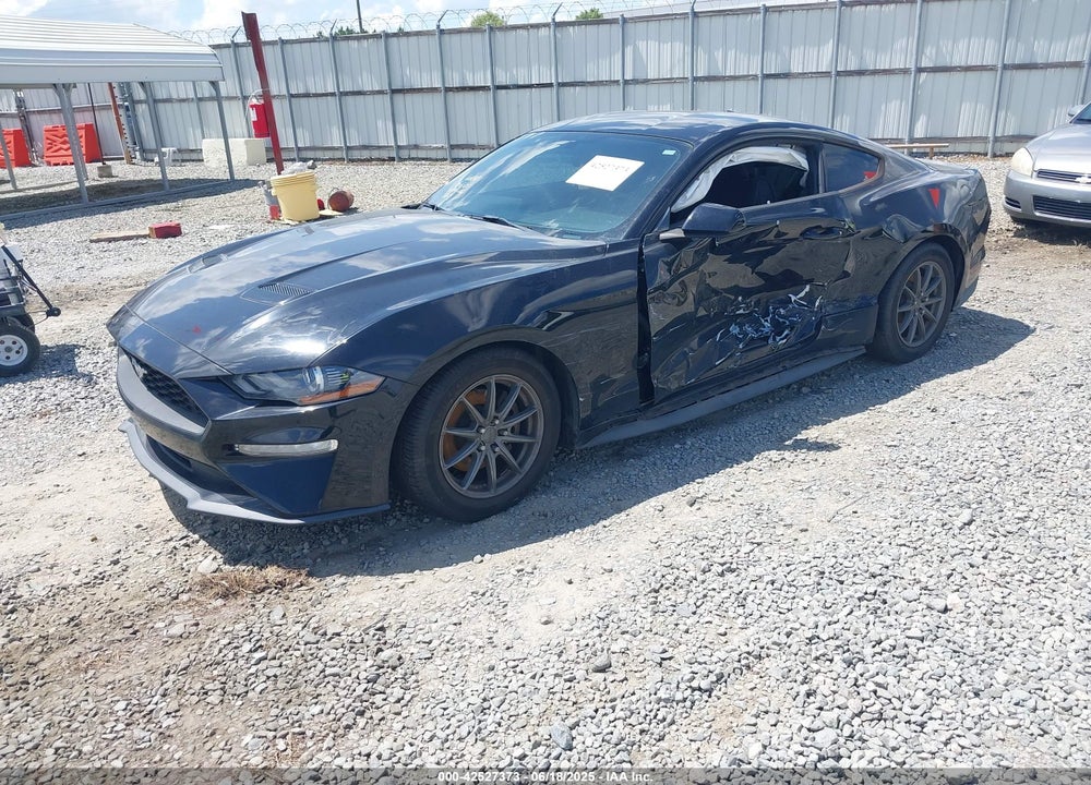 2019 FORD MUSTANG VIN: 1FA6P8TH5K5105652