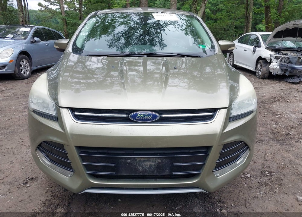 2013 FORD ESCAPE SEL VIN: 1FMCU0H93DUC79670