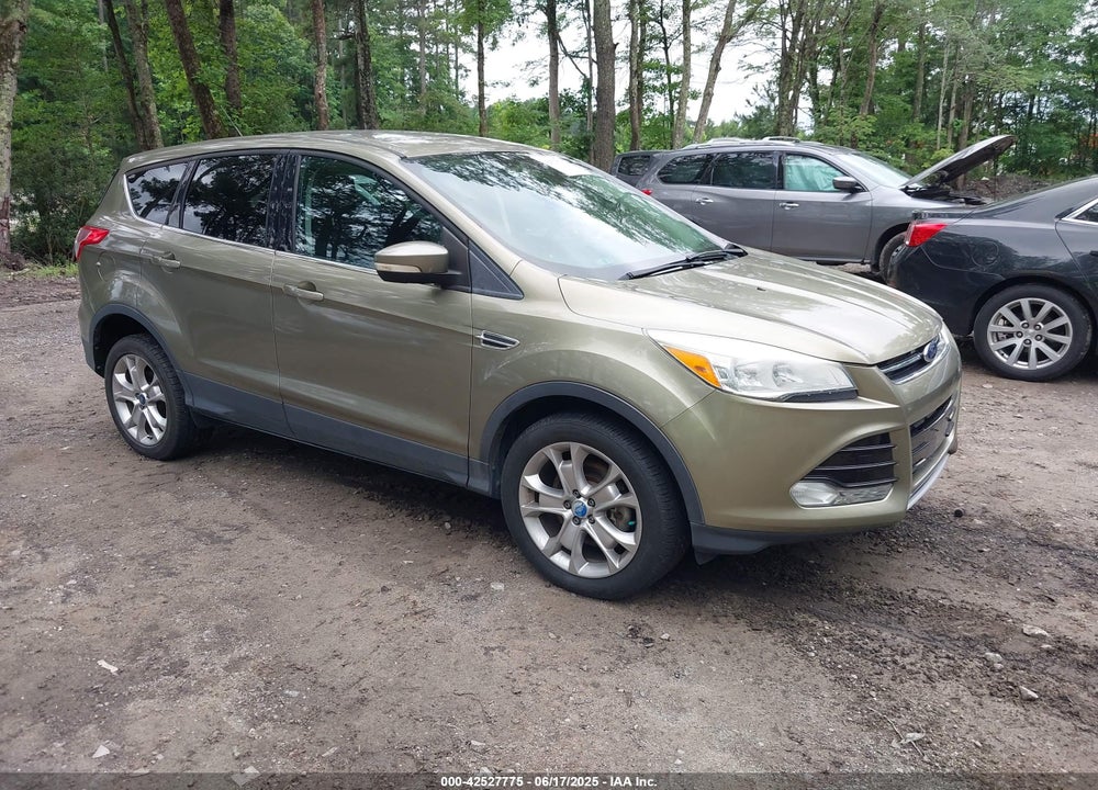 2013 FORD ESCAPE SEL VIN: 1FMCU0H93DUC79670