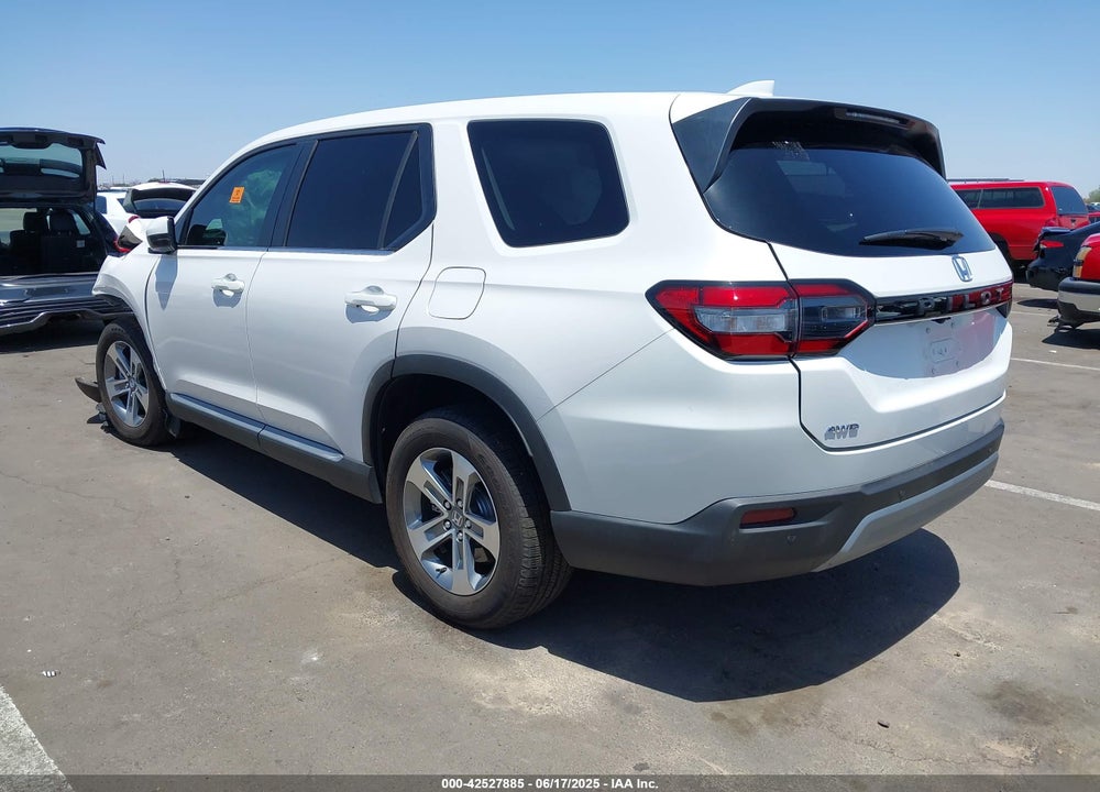 2024 HONDA PILOT VIN: 5FNYG1H54RB004684