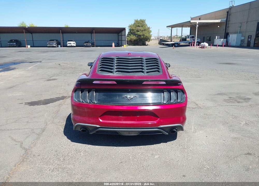 2019 FORD MUSTANG ECOBOOST VIN: 1FA6P8THXK5118705