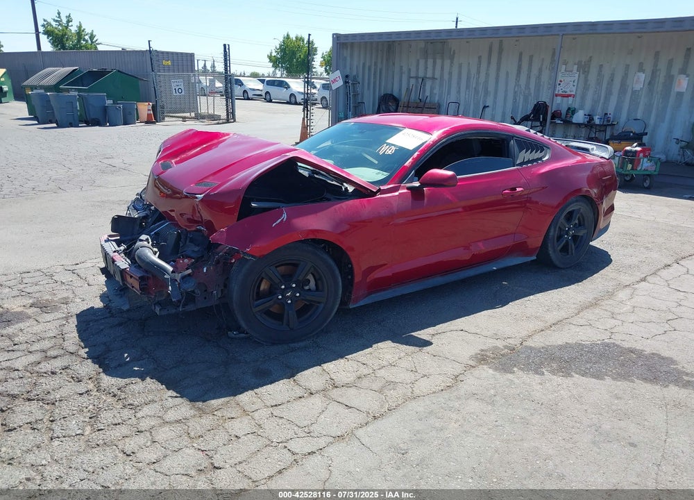 2019 FORD MUSTANG ECOBOOST VIN: 1FA6P8THXK5118705