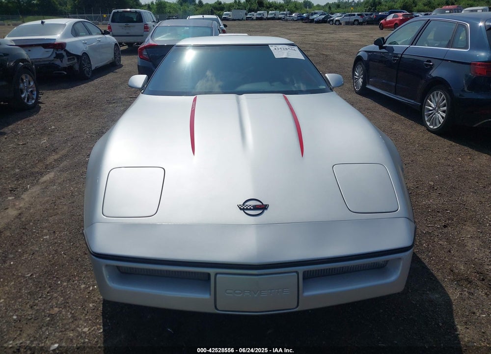 1990 CHEVROLET CORVETTE VIN: 1G1YY2383L5107911