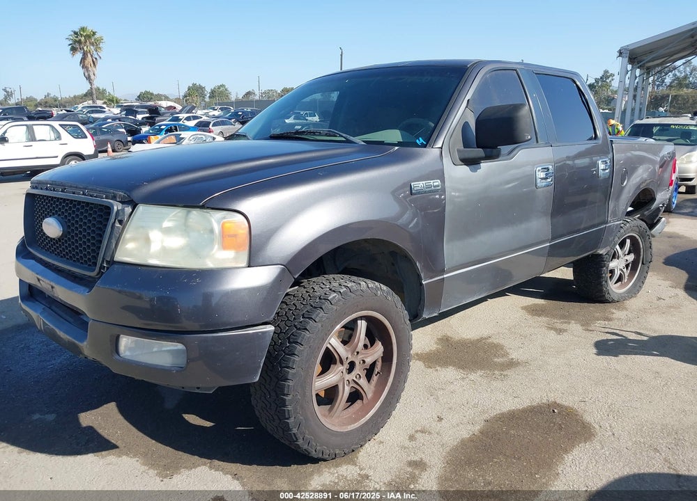 2006 FORD F-150 VIN: 1FTPW12576KD71665