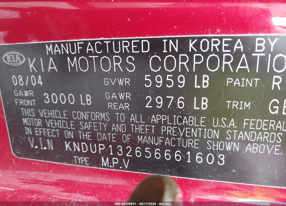 2005 KIA SEDONA EX/LX VIN: KNDUP132656661603