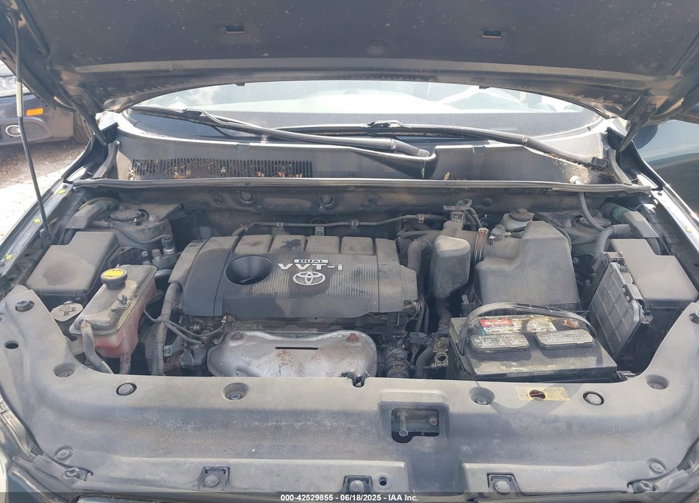 2009 TOYOTA RAV4 VIN: JTMBF31VX9D000273