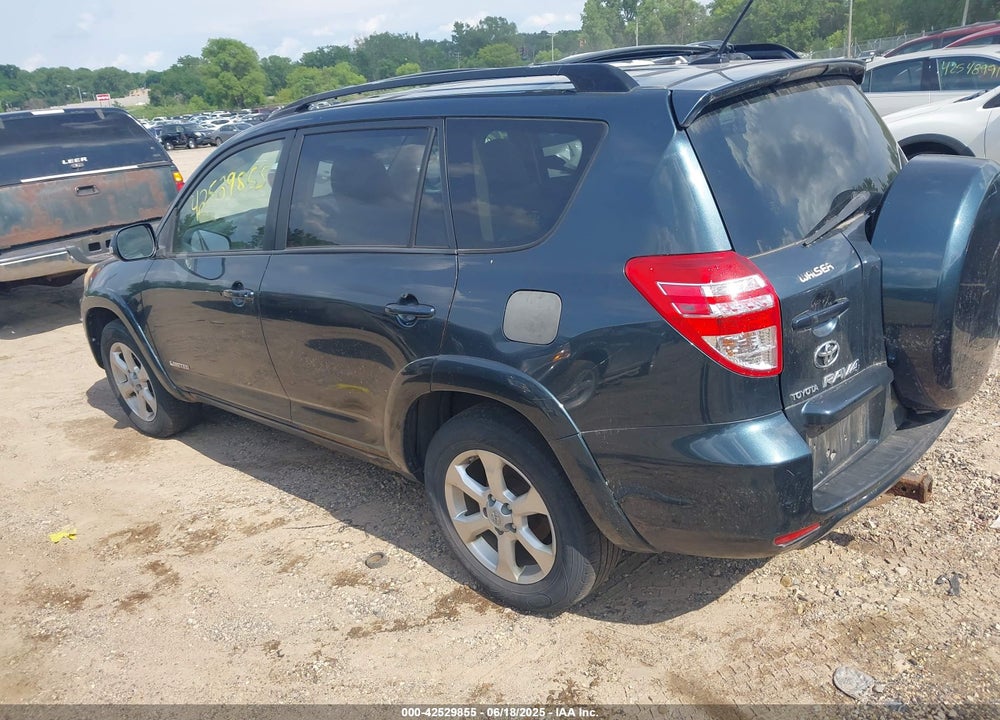 2009 TOYOTA RAV4 VIN: JTMBF31VX9D000273