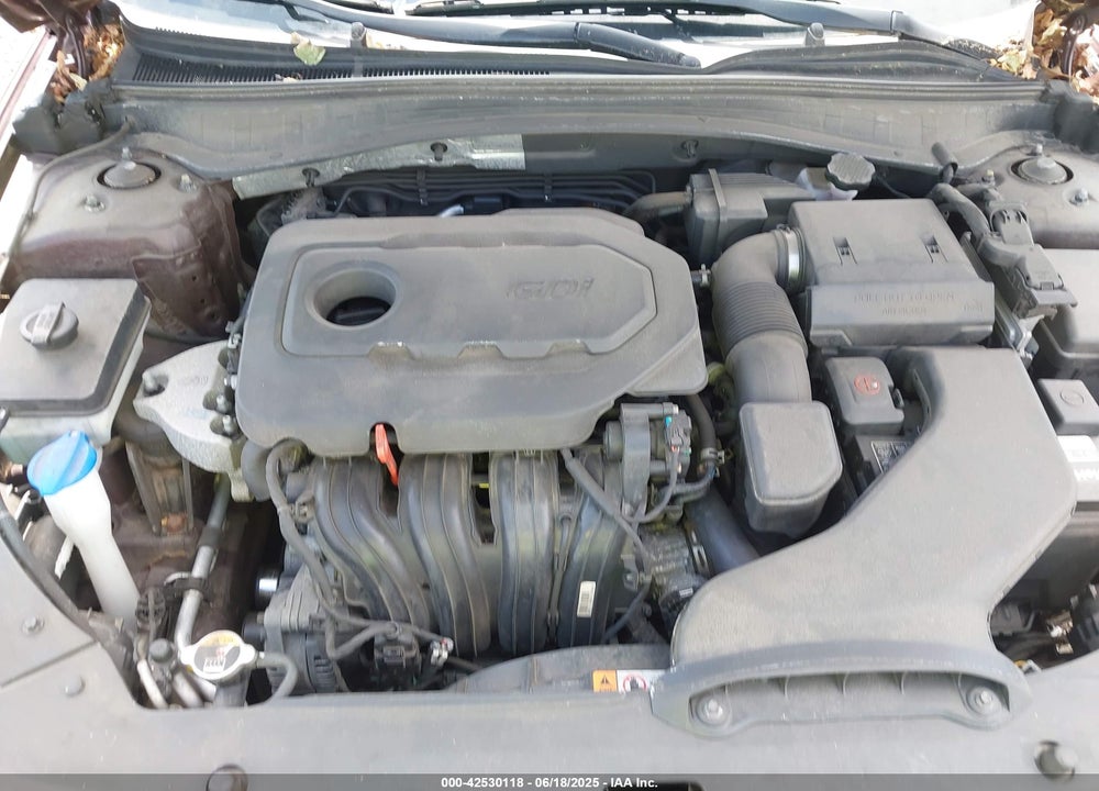 2019 KIA OPTIMA VIN: 5XXGT4L31KG286705