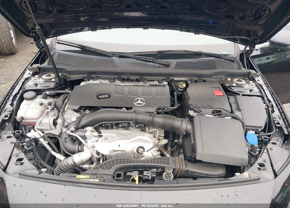 2020 MERCEDES-BENZ A-CLASS VIN: WDD3G4FB5LW038971