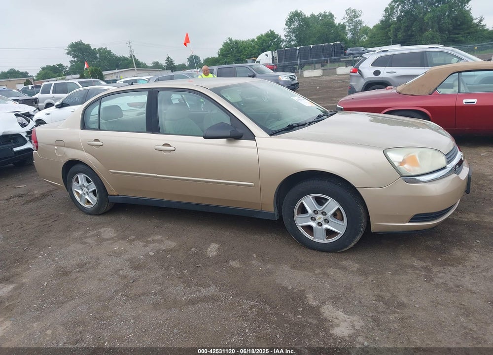 2005 CHEVROLET MALIBU LS VIN: 1G1ZT54805F193811