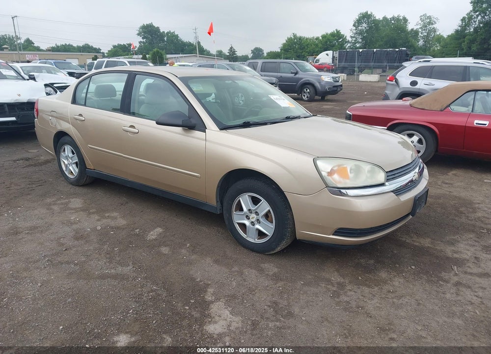 2005 CHEVROLET MALIBU LS VIN: 1G1ZT54805F193811