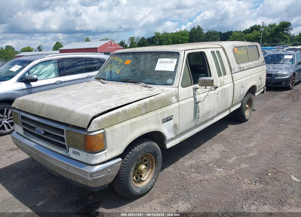 1989 FORD F150 VIN: 1FTEX15N4KKA99134