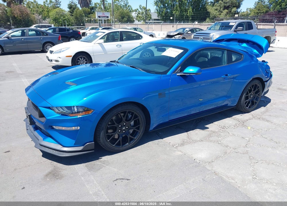 2019 FORD MUSTANG VIN: 1FA6P8TH7K5119181