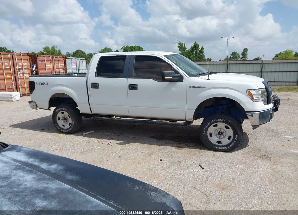 2010 FORD F-150 VIN: 1FTFW1EV3AFB81502