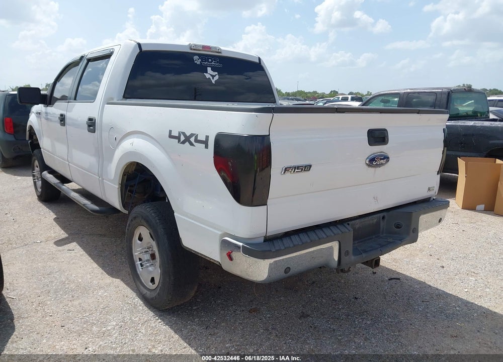 2010 FORD F-150 VIN: 1FTFW1EV3AFB81502