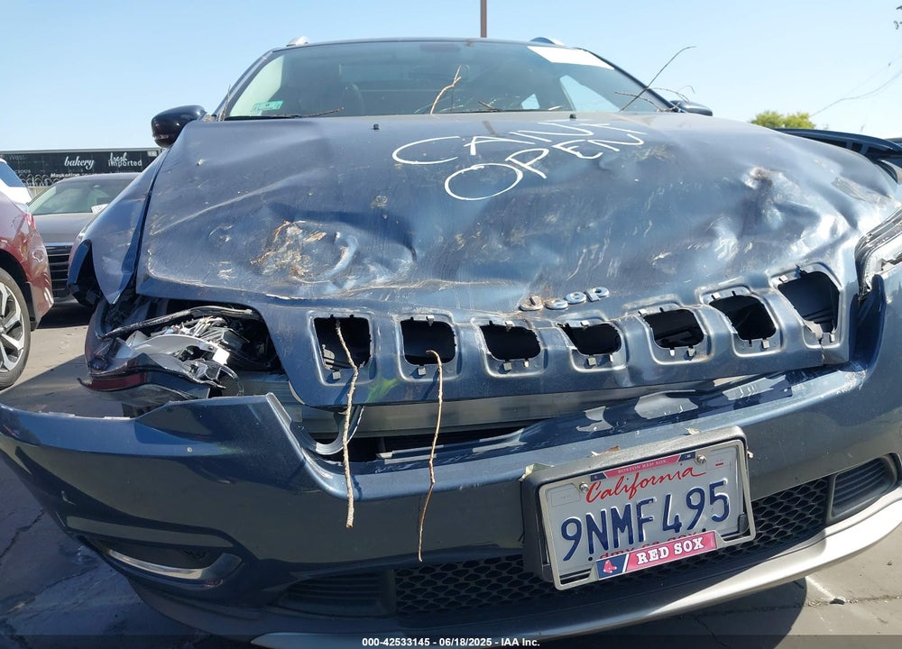 2019 JEEP CHEROKEE LIMITED 4X4 VIN: 1C4PJMDX4KD400228