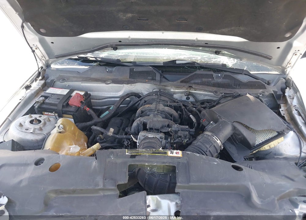 2010 FORD MUSTANG VIN: 1ZVBP8AN4A5149204