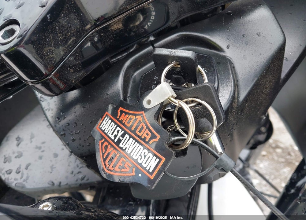 2024 HARLEY-DAVIDSON FLTRX VIN: 1HD1KH717RB603233