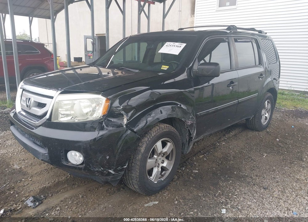 2011 HONDA PILOT VIN: 5FNYF4H61BB065719