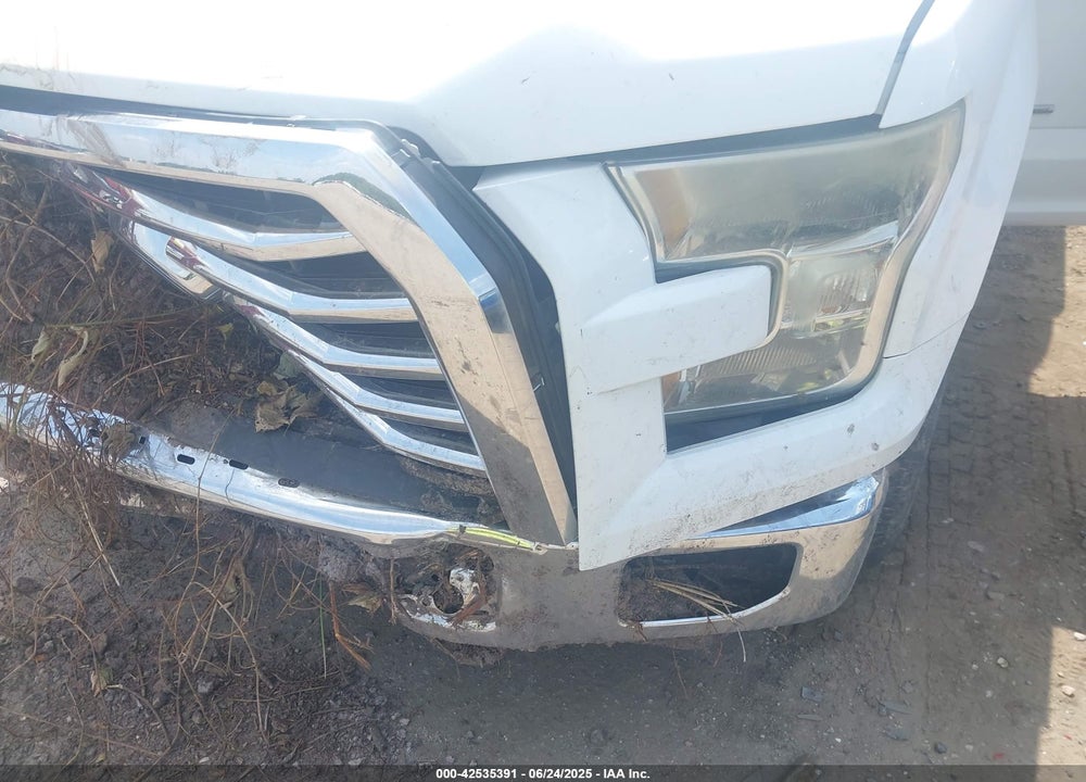 2015 FORD F-150 VIN: 1FTEW1CP9FFC84995