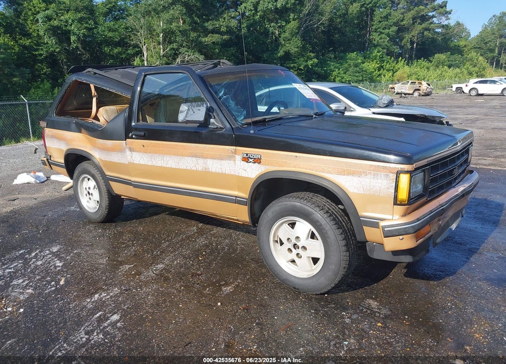 1989 CHEVROLET BLAZER S10 VIN: 1GNCT18Z0K0179602