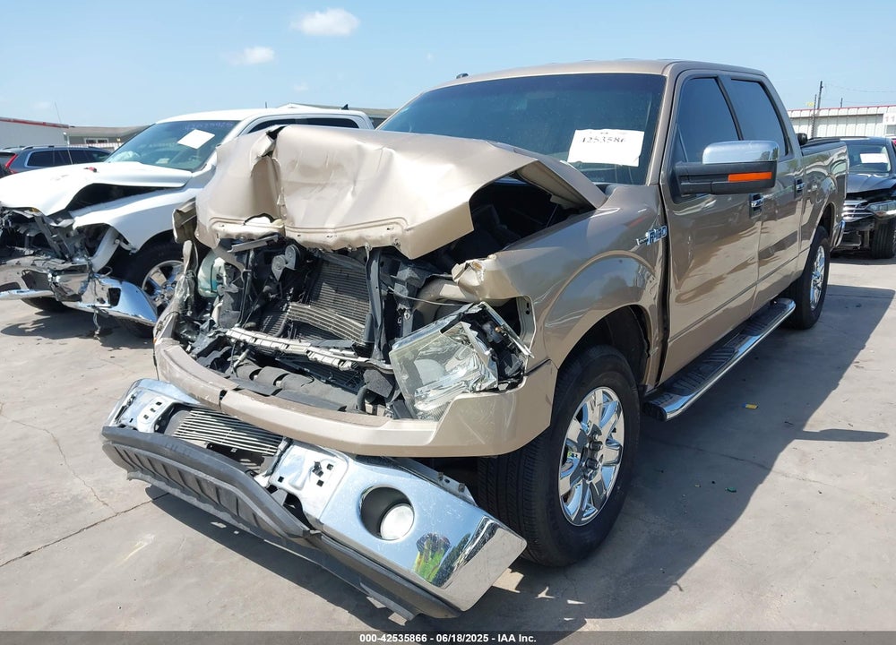 2013 FORD F-150 VIN: 1FTEW1CM1DKF70849