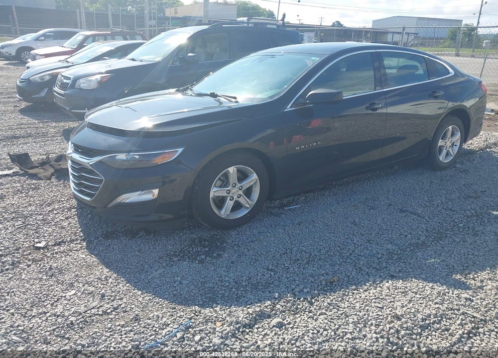 2023 CHEVROLET MALIBU VIN: 1G1ZC5ST1PF117959