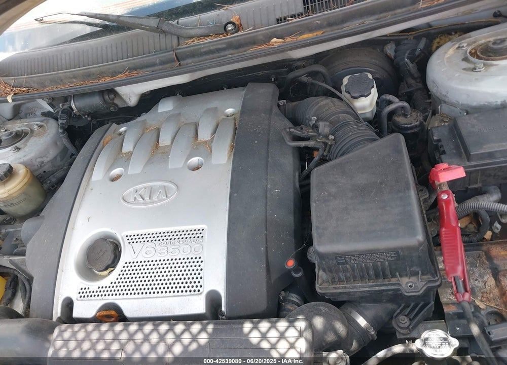 2004 KIA SEDONA EX/LX VIN: KNDUP131X46597992