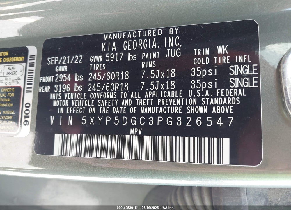 2023 KIA TELLURIDE VIN: 5XYP5DGC3PG326547