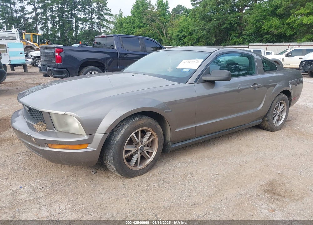2005 FORD MUSTANG VIN: 1ZVFT80N255121745