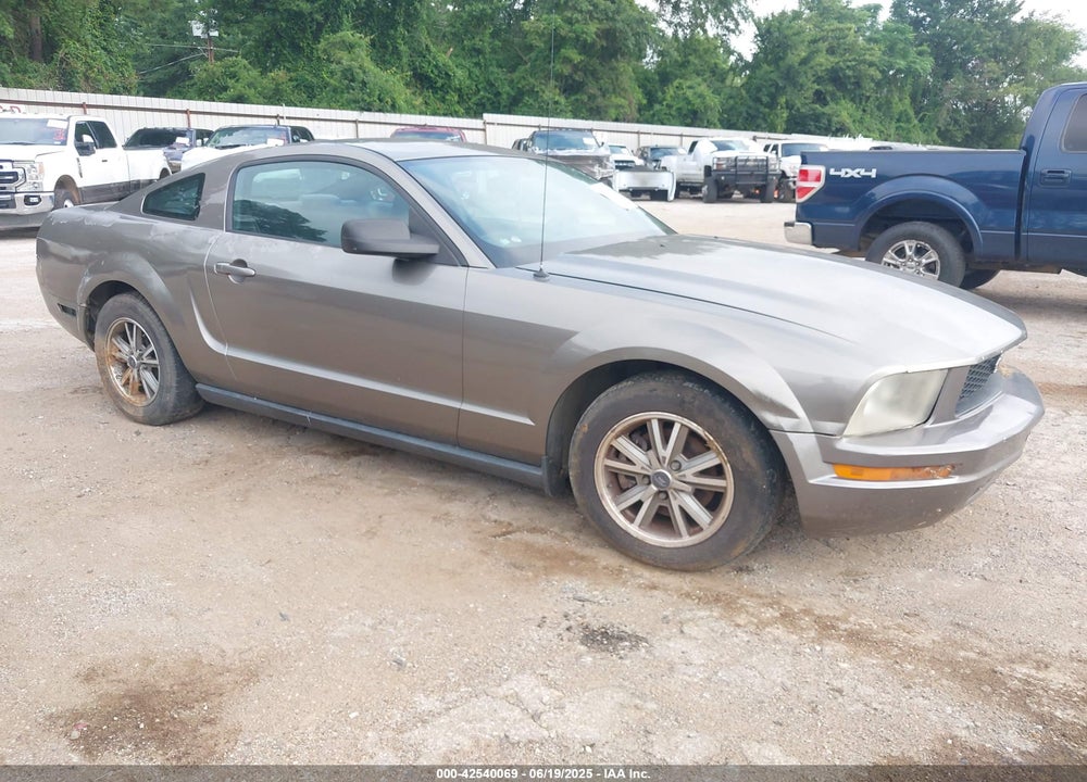 2005 FORD MUSTANG VIN: 1ZVFT80N255121745