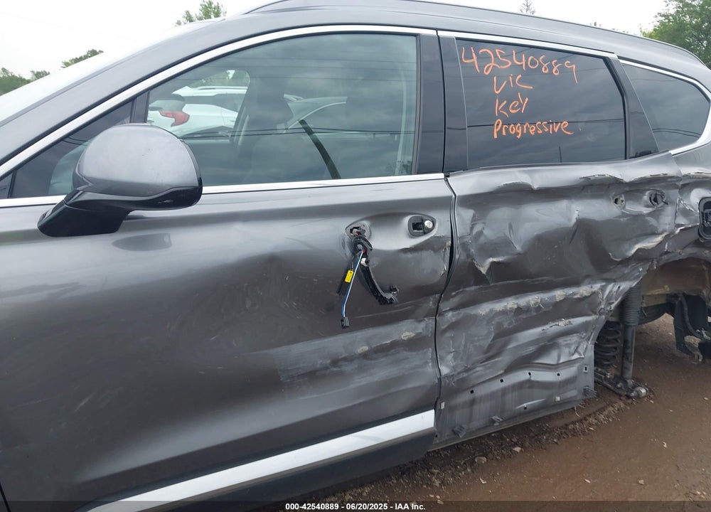 2019 HYUNDAI SANTA FE VIN: 5NMS3CAD7KH134249