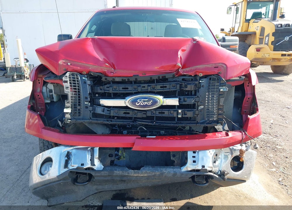 2010 FORD F-150 STX/XL/XLT VIN: 1FTEX1E86AFC61069