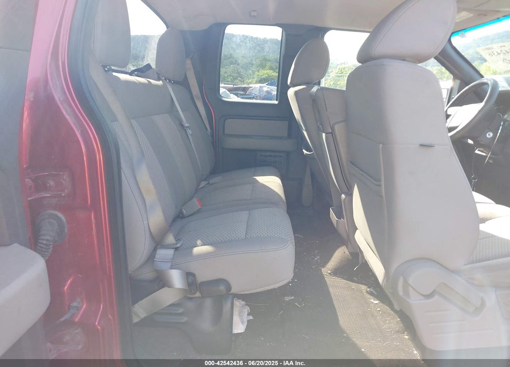 2010 FORD F-150 STX/XL/XLT VIN: 1FTEX1E86AFC61069
