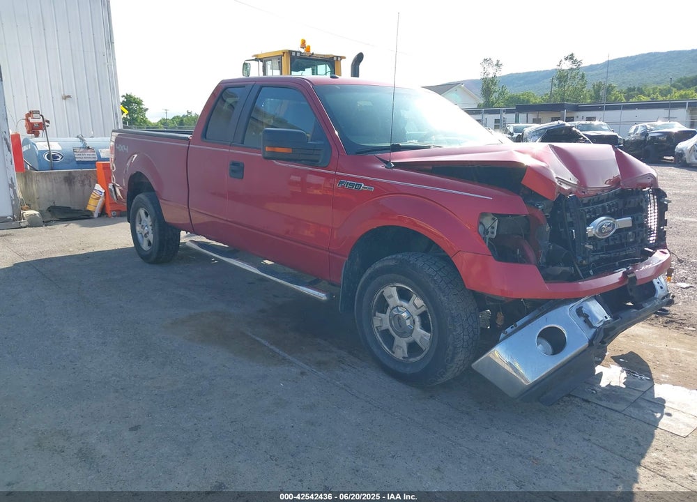 2010 FORD F-150 STX/XL/XLT VIN: 1FTEX1E86AFC61069
