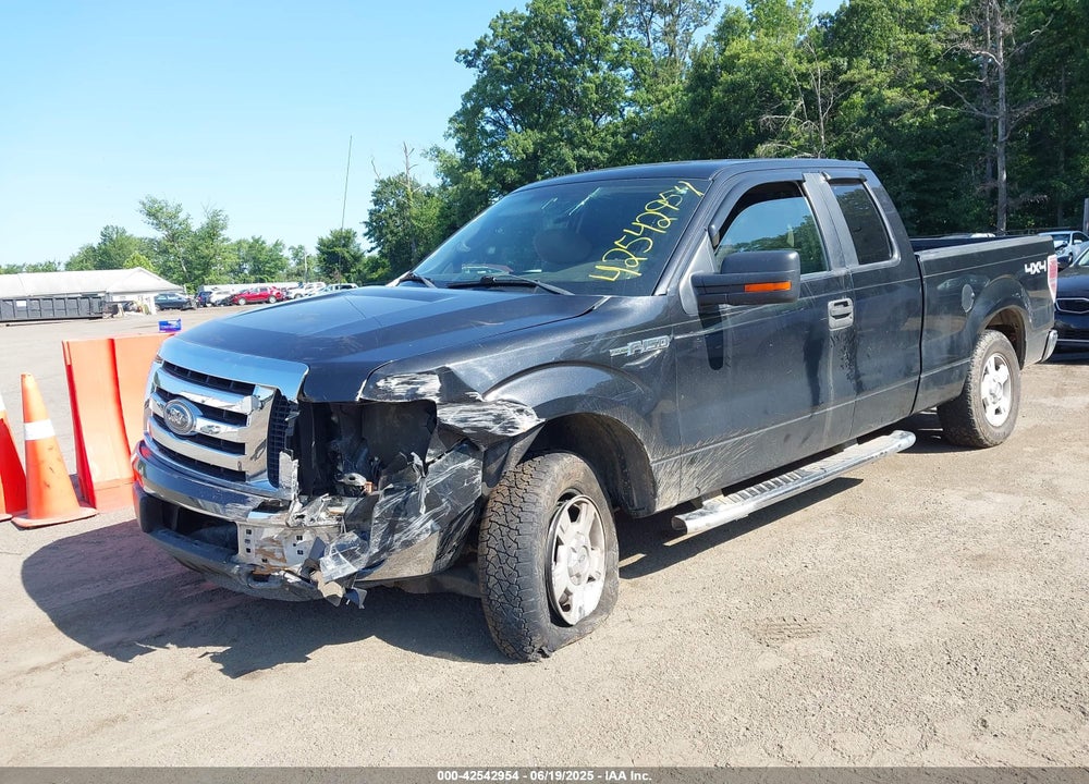 2010 FORD F-150 VIN: 1FTFX1EV2AFC95925