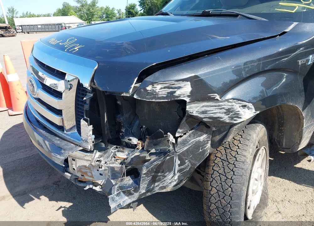 2010 FORD F-150 VIN: 1FTFX1EV2AFC95925