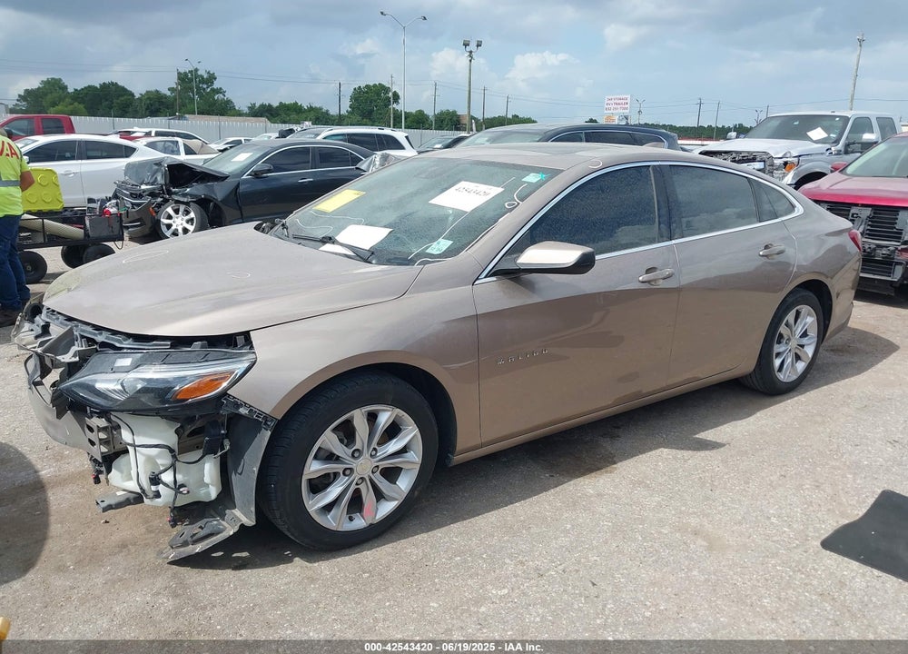2019 CHEVROLET MALIBU VIN: 1G1ZD5ST0KF116954
