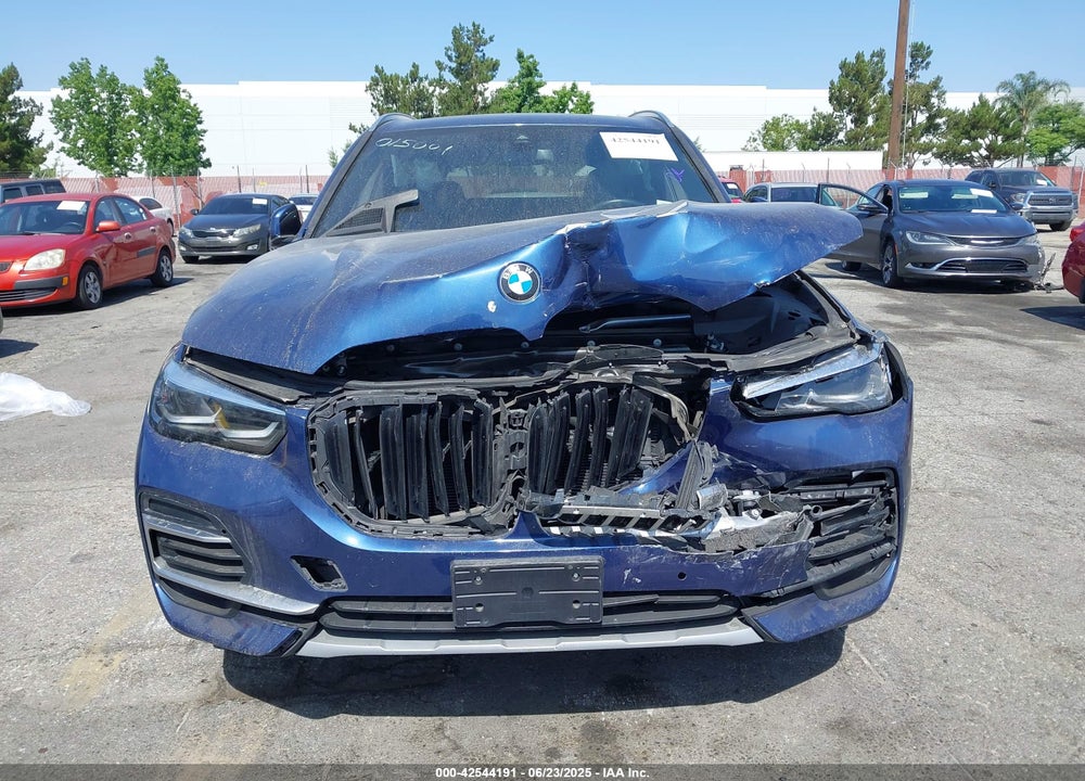 2023 BMW X5 VIN: 5UXCR6C01P9N96807