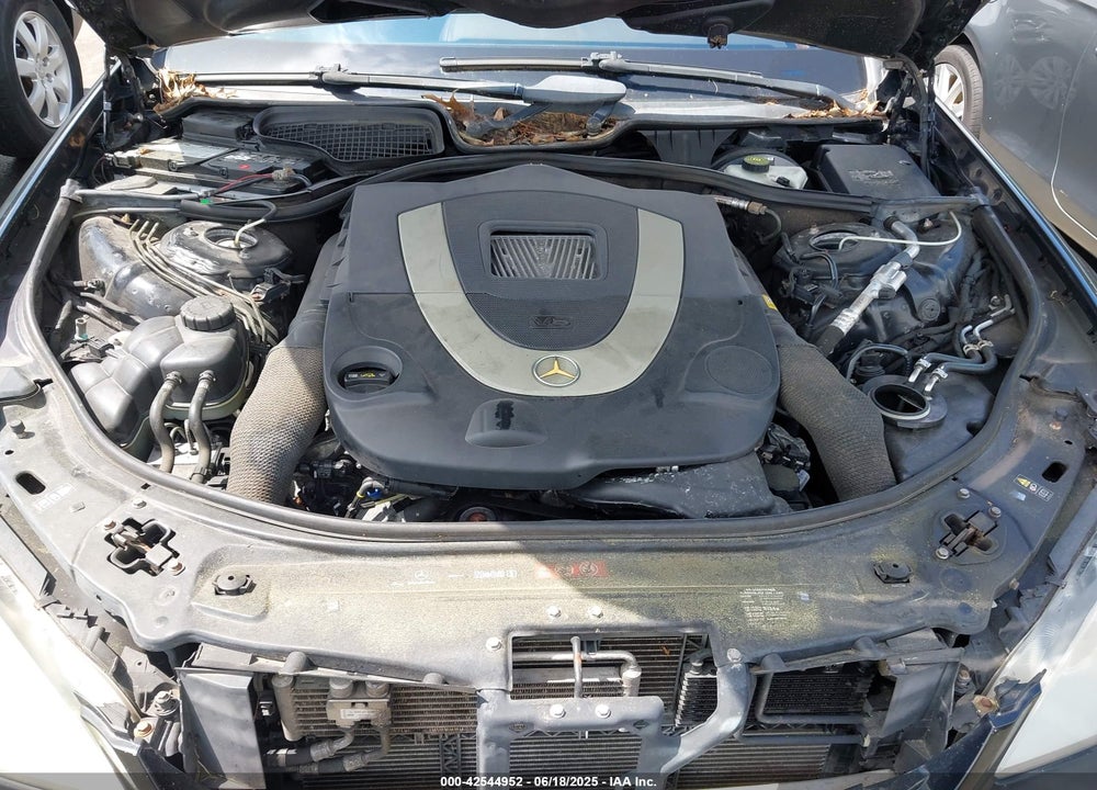 2009 MERCEDES-BENZ S CLASS VIN: WDDNG86X99A255991