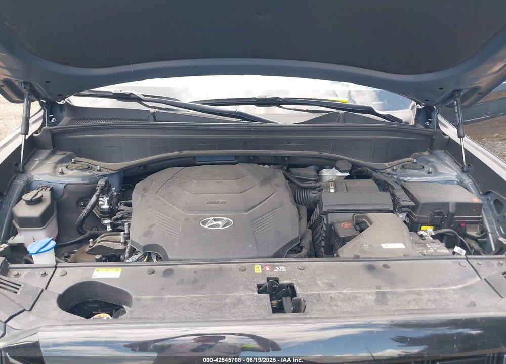 2024 HYUNDAI PALISADE VIN: KM8R4DGE9RU690501