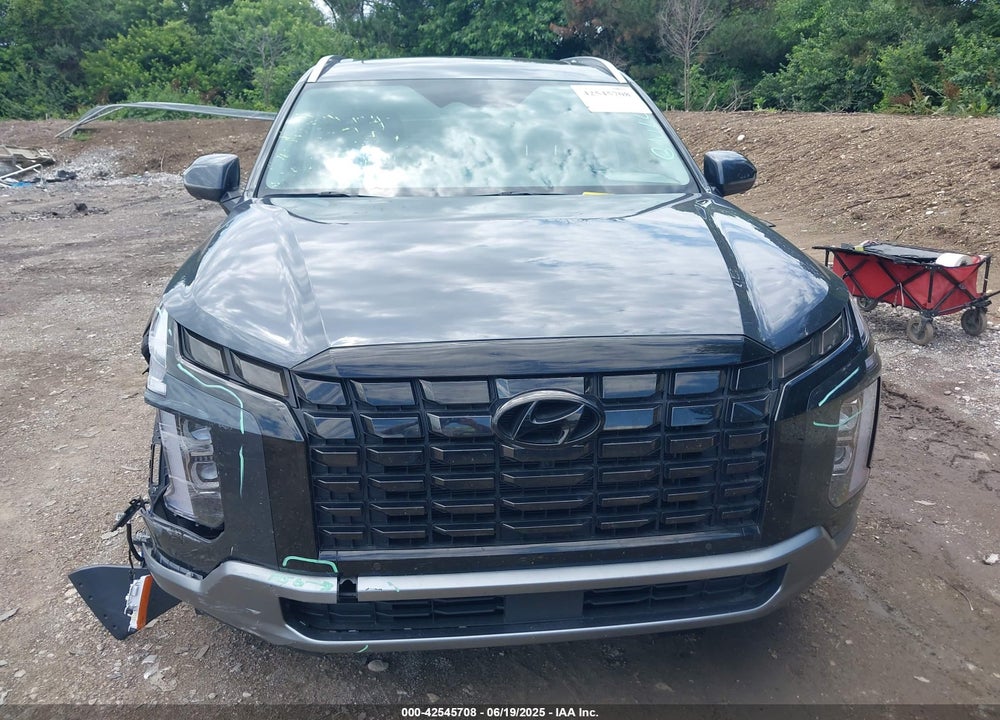 2024 HYUNDAI PALISADE VIN: KM8R4DGE9RU690501