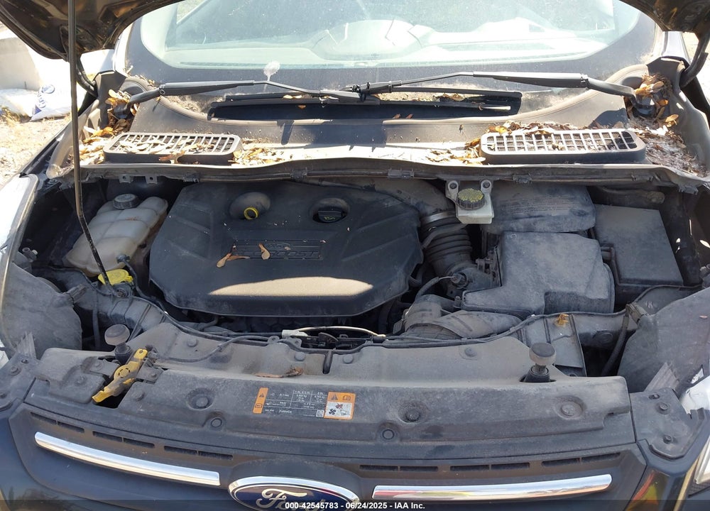 2014 FORD ESCAPE SE VIN: 1FMCU0G91EUA20940