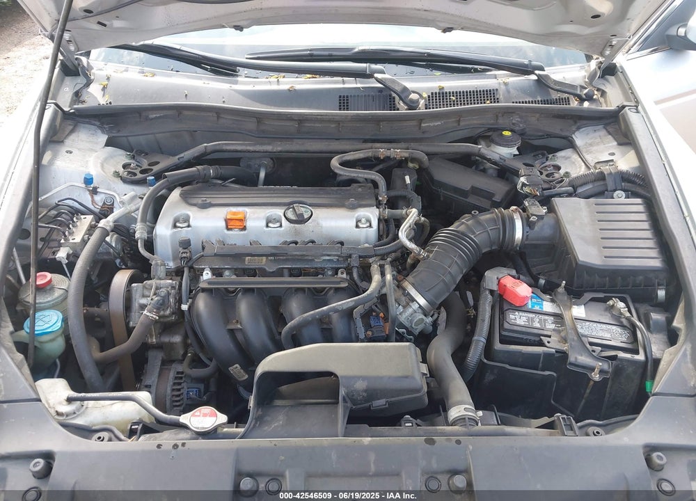 2010 HONDA ACCORD VIN: 1HGCP2F87AA051610