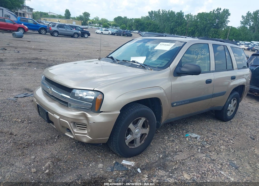 2004 CHEVROLET TRAILBLAZER LS VIN: 1GNDT13S842416357
