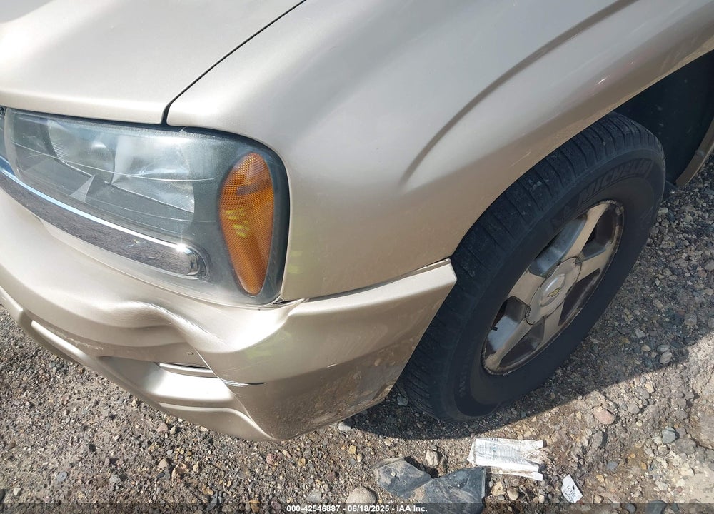 2004 CHEVROLET TRAILBLAZER LS VIN: 1GNDT13S842416357